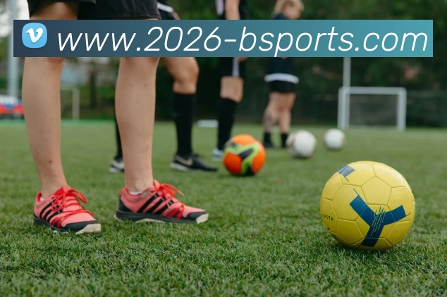 B体育平台生态图